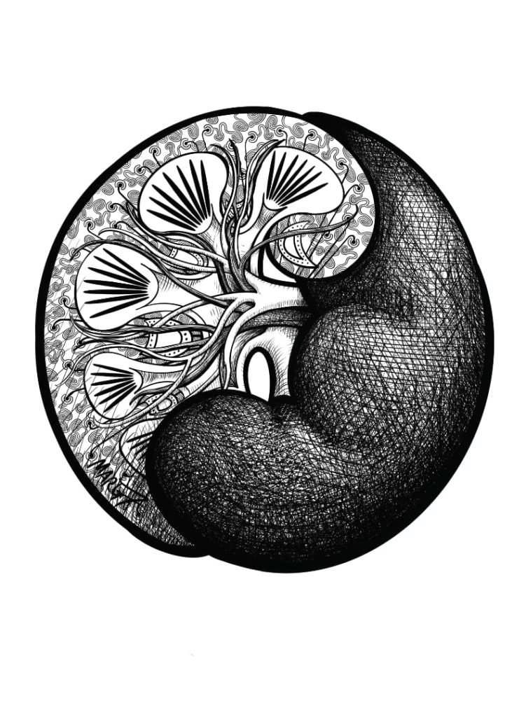 Image depicts two kidneys wrapped together in a yin yang shape. One kidney is whole, and the other is a cross view of glomeruli and blood vessels.