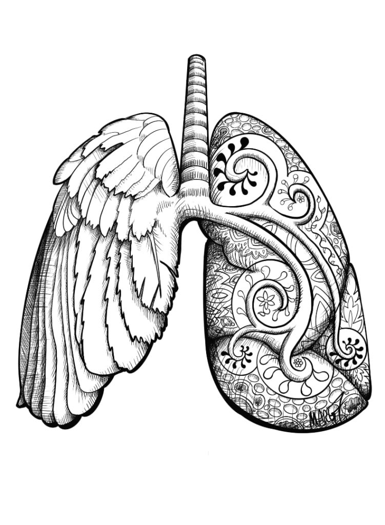 Image depicts human lungs. One of them has been replaced with a bird wing, and the other is rendered in looping whorls where the brachioles would be, and the rest of the tissue is filled with paisley patterns. It is rendered in black-and-white with cross-hatching.